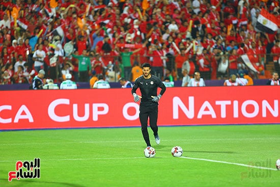 محمد الشناوي stats  1