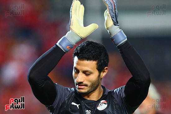 محمد الشناوي stats  2