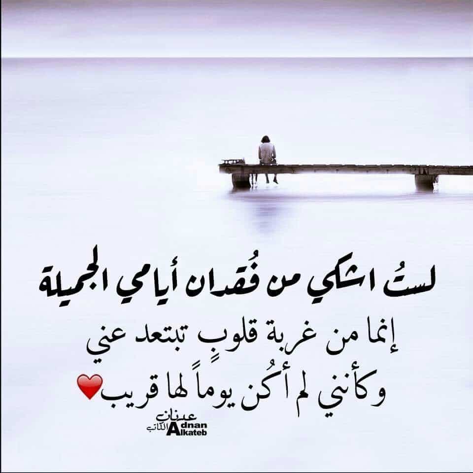 صورحزينة ٣