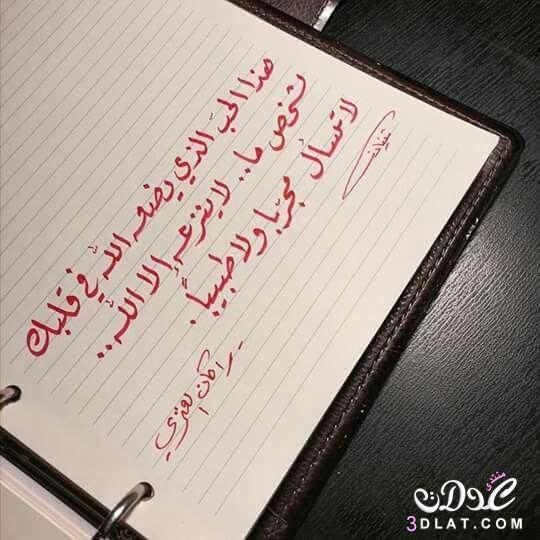 رسائل حب وغرام قوية ٢