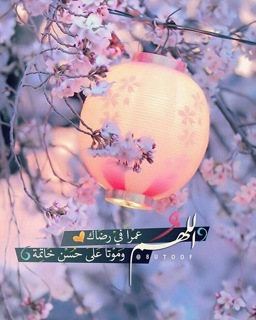 صور دينيه 4