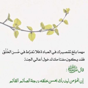 صور دينيه