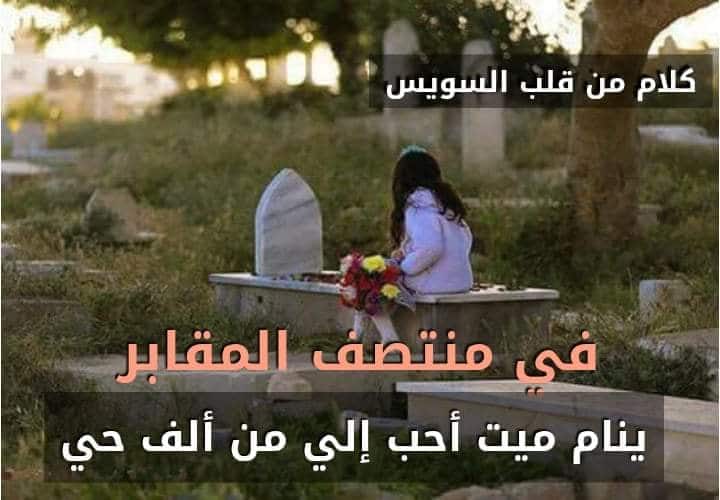 كلام عن الموت والقبر ٢