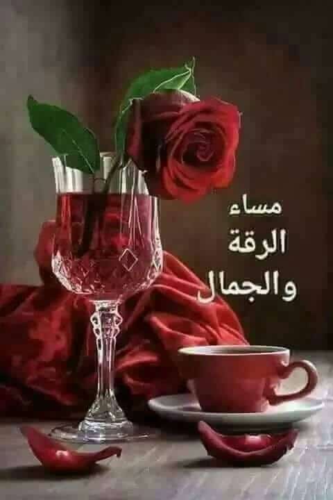 مساء الزين ٤