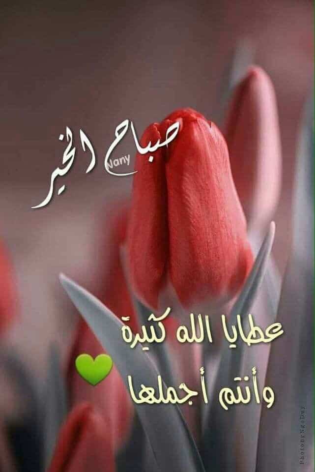 صباح الخير دعاء بالصور ٤