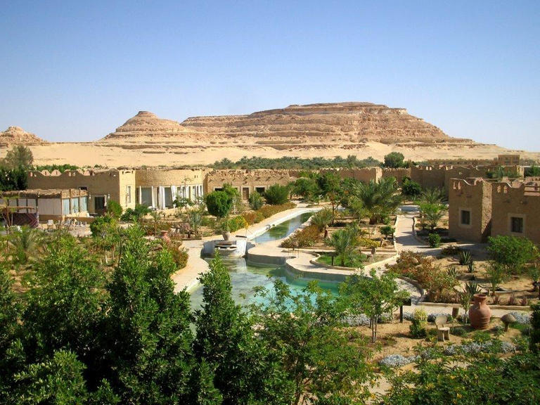 صور لواحه سيوه 5
