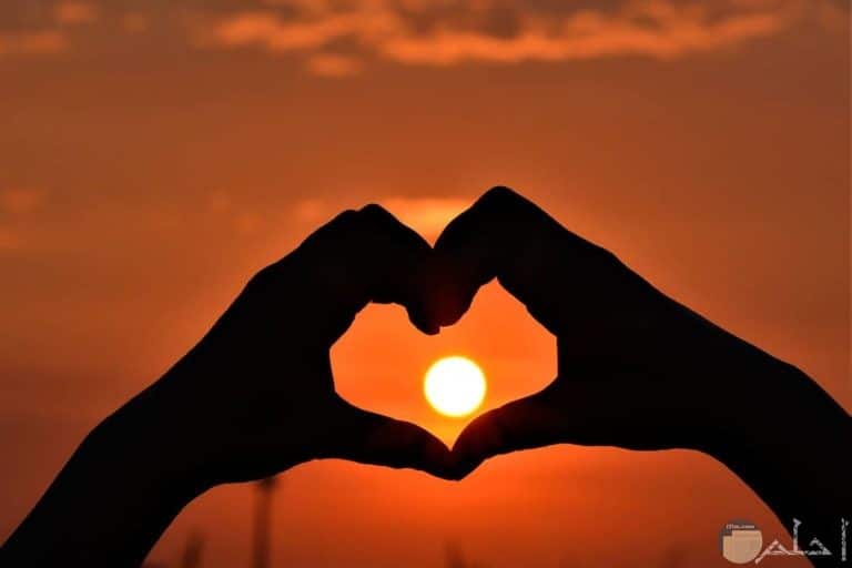 اجمل الصور المعبرة عن الواقع بدون كلام ٢