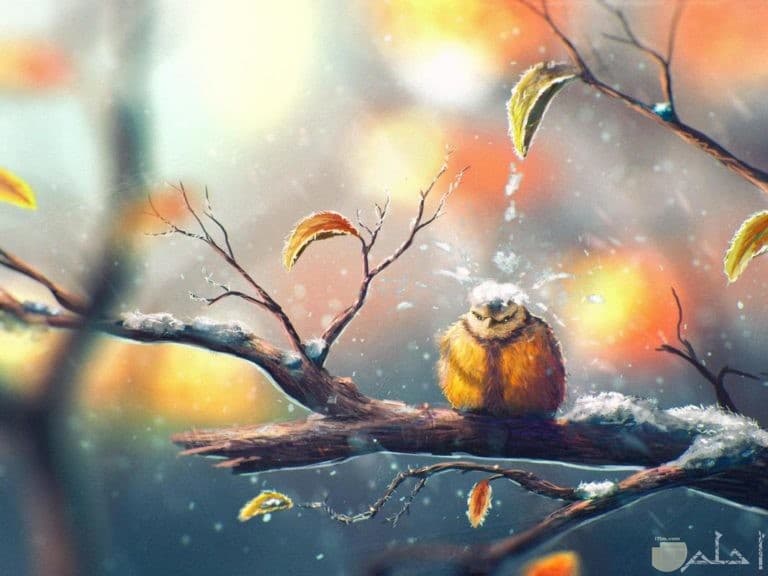 اجمل الصور المعبرة عن الواقع بدون كلام ٣