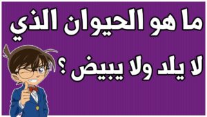 ألغاز مع الجواب