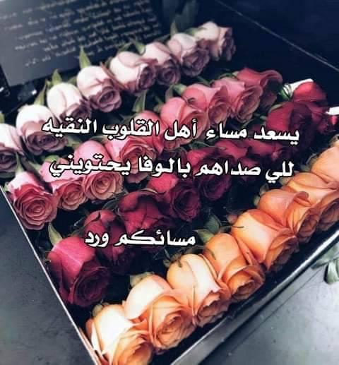 يسعد مساء ٤