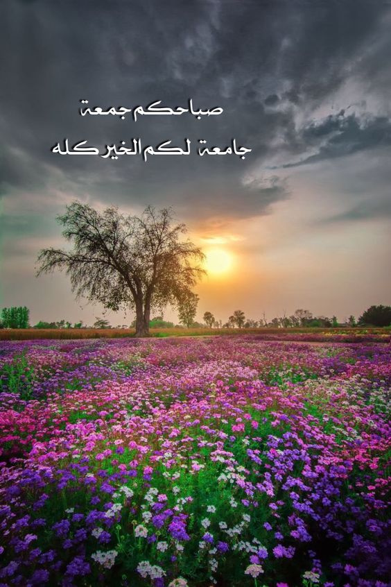 اجمل الصور الدينيه عن يوم الجمعة1