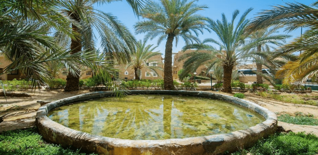 آثار واحة سيوة1