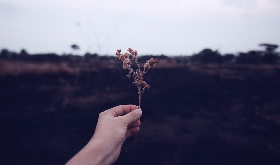اجمل الصور المعبرة عن الحياة ٥