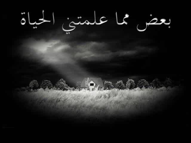 اجمل الصور المعبرة عن الحياة ٣