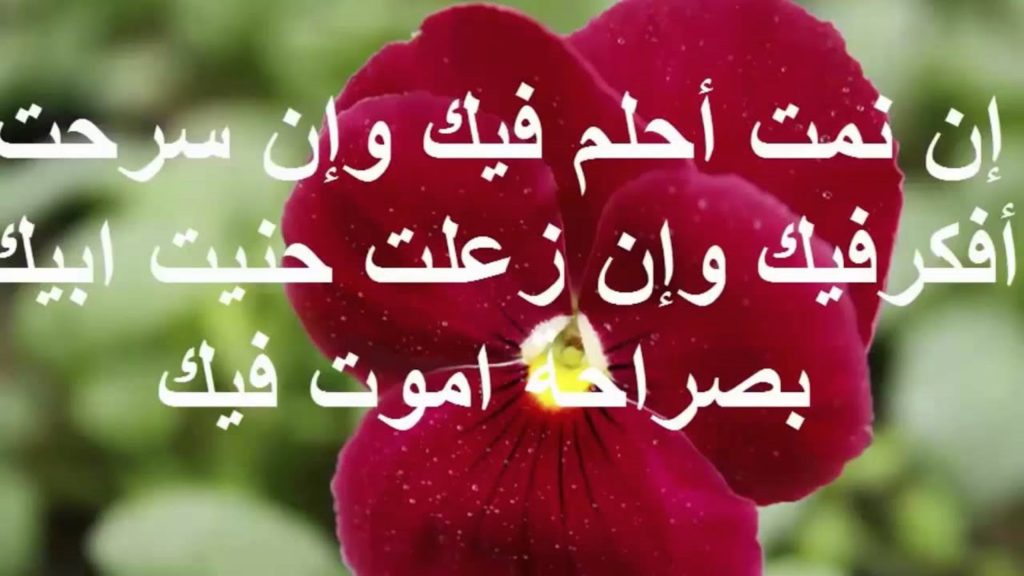مسجات حب ١