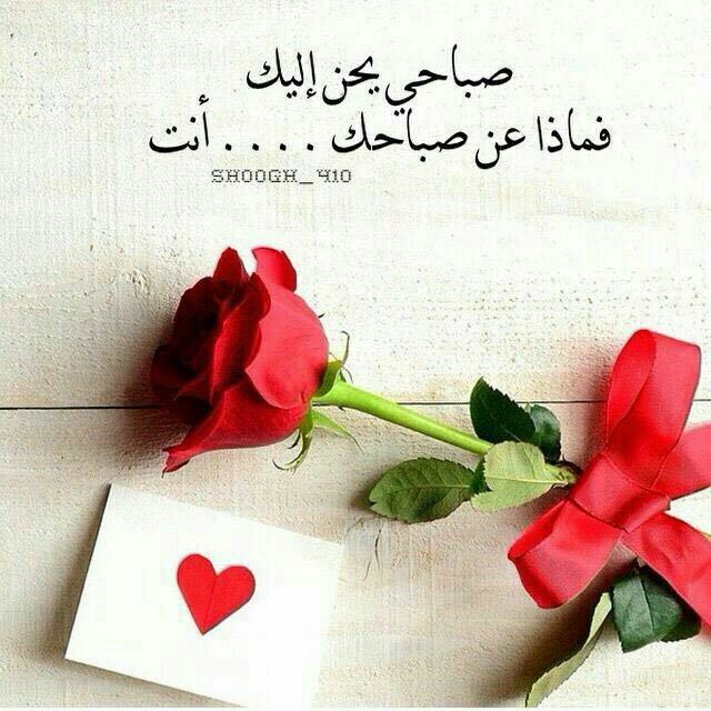 مسجات حب ٢