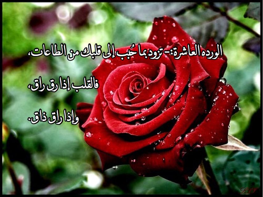 مسجات جديدة وحلوه ١