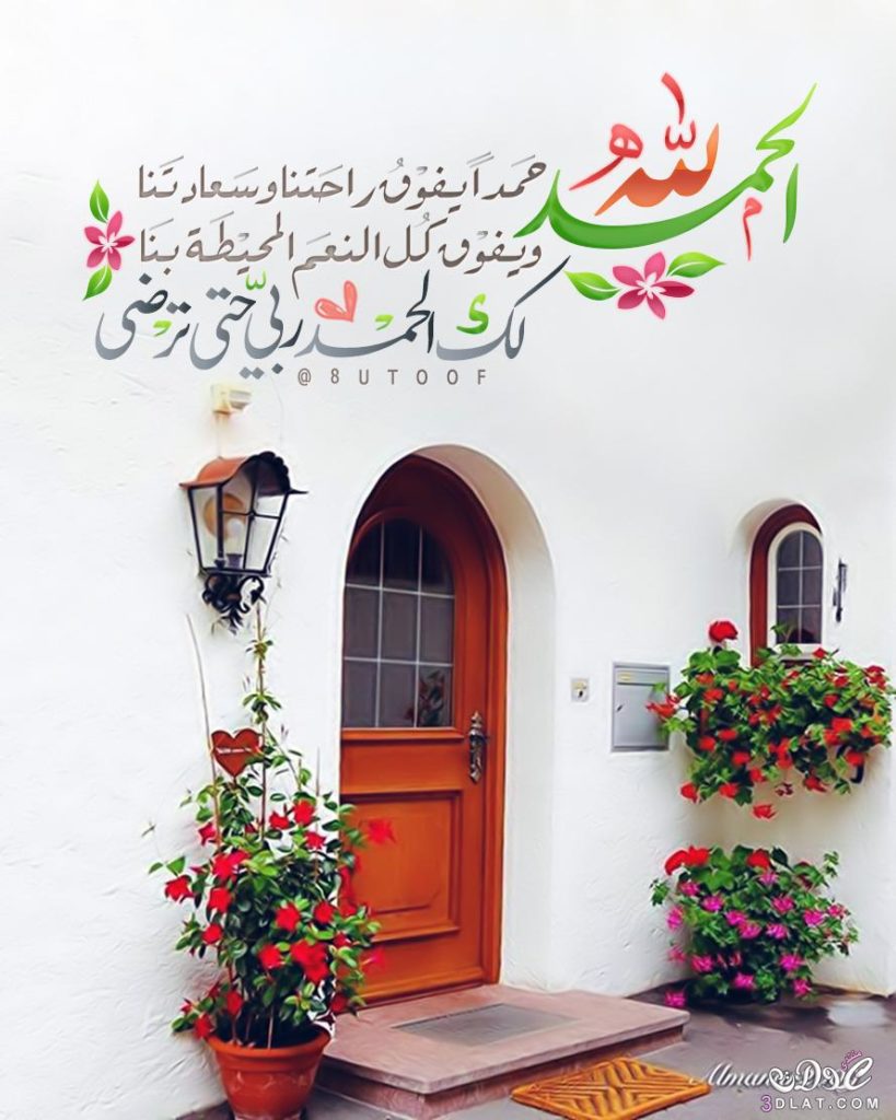 صوردينيه حديثة2