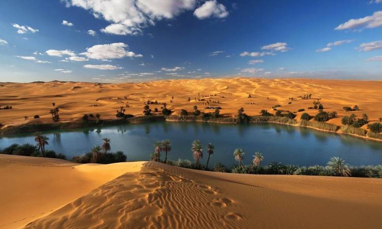 آثار واحة سيوة2