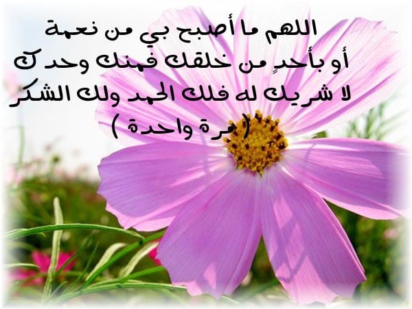 روائع الصباح تويتر ١