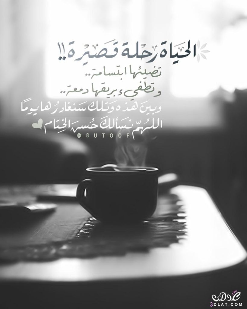صوردينيه حديثة3