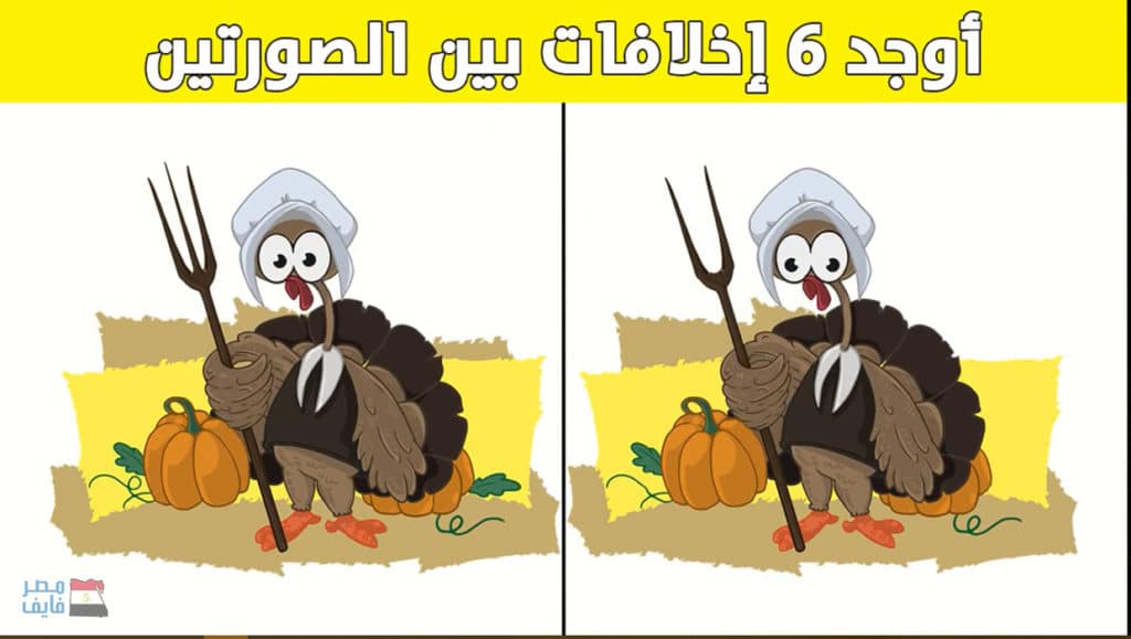 ألغاز بالصور حيوانات ٣