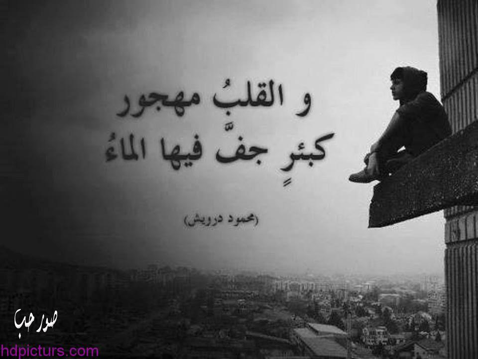 اجمل الصور المؤثرة والمعبرة  ٥