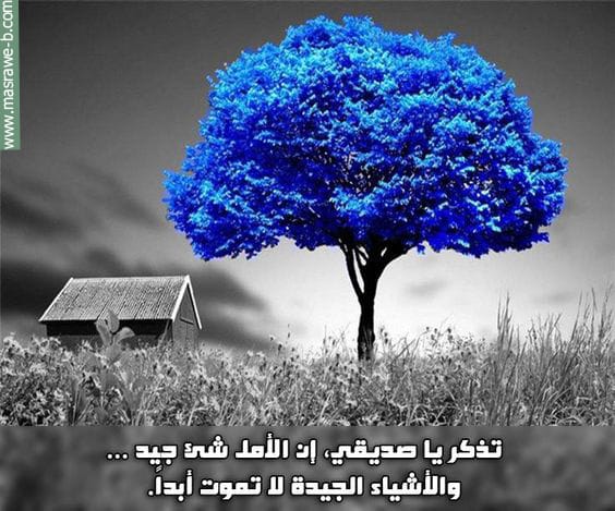 اجمل الصور المعبرة عن الامل ١