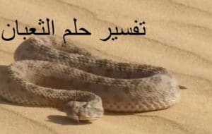 تفسير حلم ثعبان