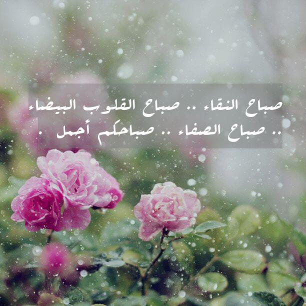 صباح النقاء تويتر