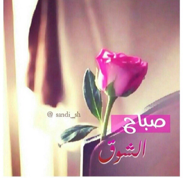 صباح الشوق تويتر ١