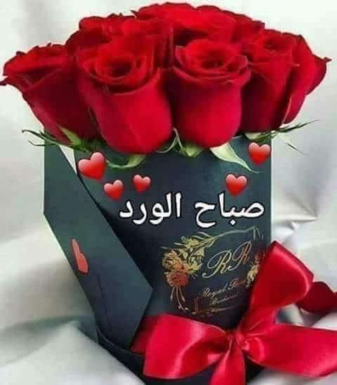صباح الورد تويتر