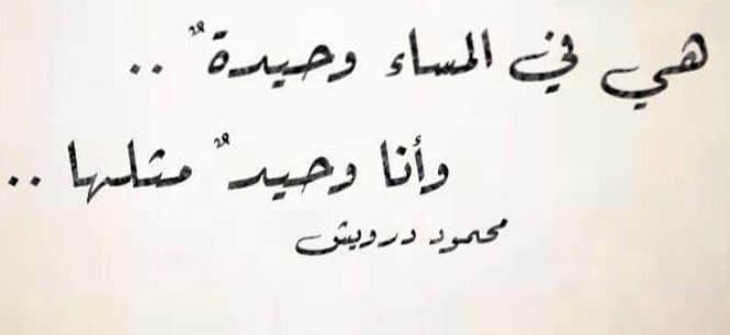 كلام عن الوحدة والعزلة ٢
