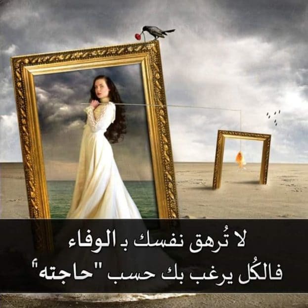 صورحزينة 2020 ٤