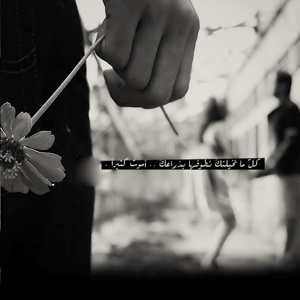 صورحزينة 2020 ١