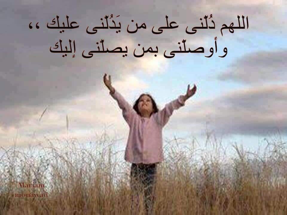 اروع الصور المعبرة ٢