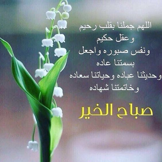دعاء الصباح كتابه ٢