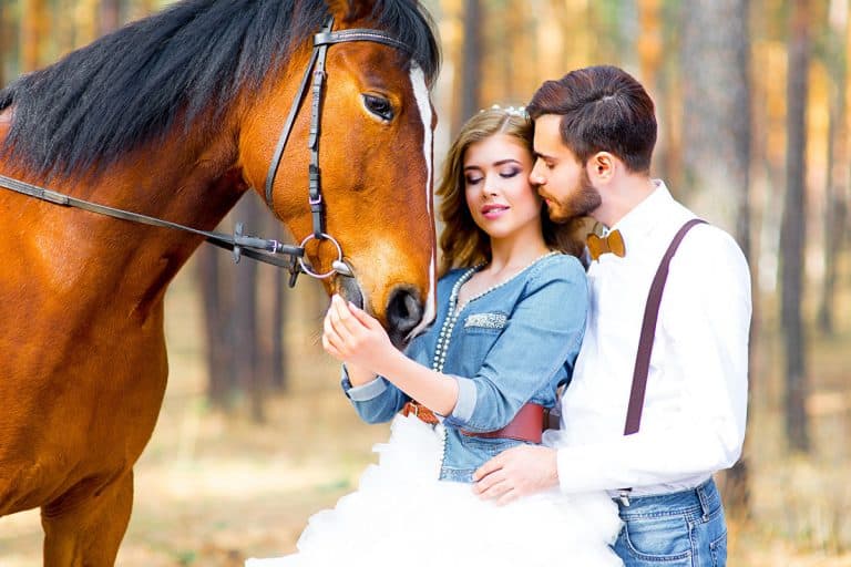رومانسيات حب وغزل - غزل الحب ١٠
