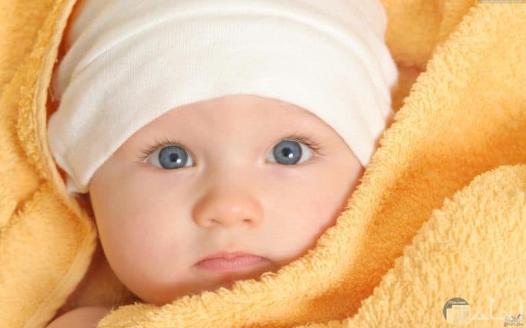 اطفال كيوت اولاد ٤