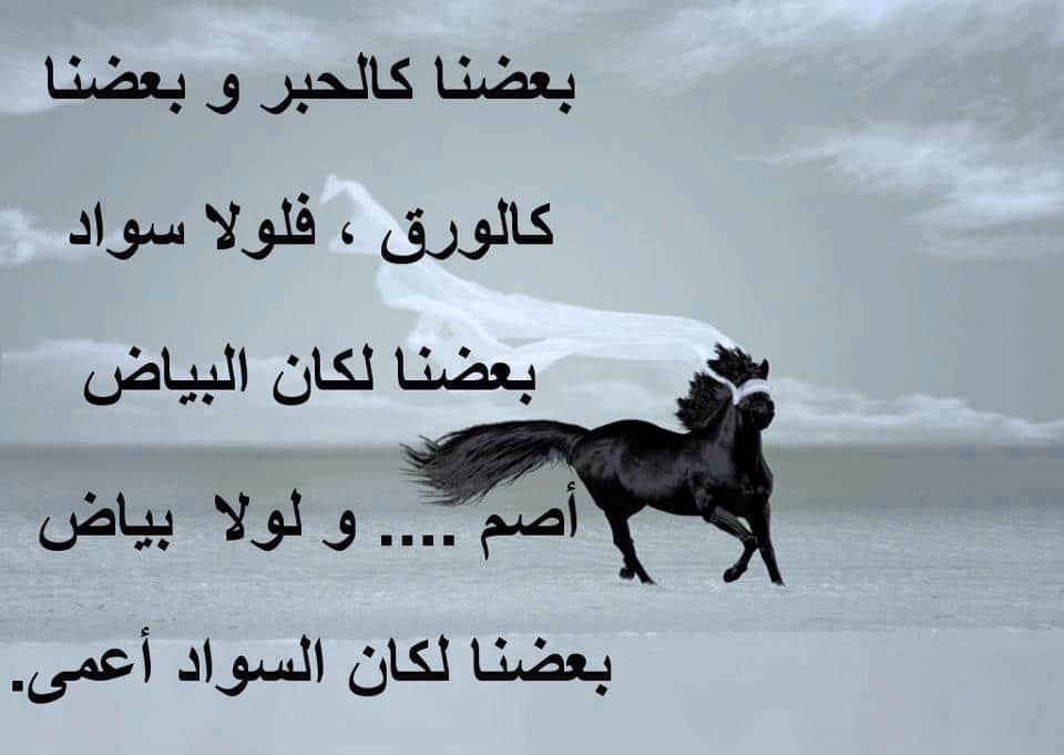 اجمل الصور المعبرة عن الحياة ١