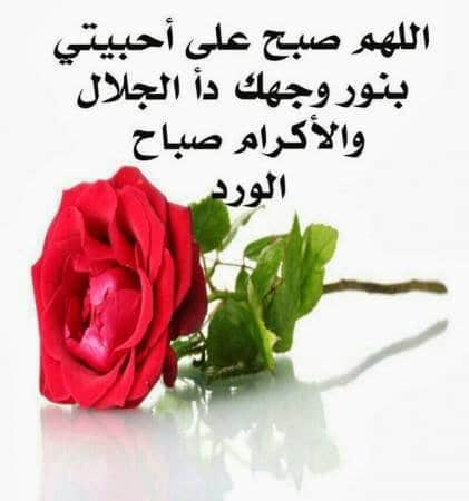 دعاء لاحبتي في الصباح
