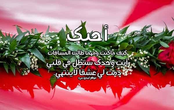 رسايل حلوه للحبيب ١