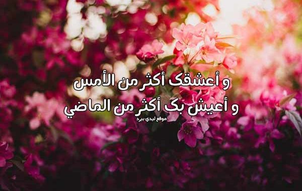 مسجات شوق للحبيب نار ٢