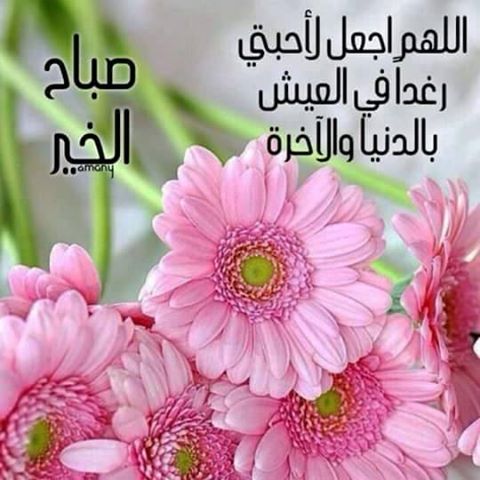 دعاء الصباح للاصدقاء بالصور ٦