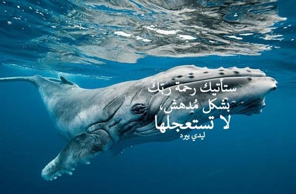 كلام اسلامي حزين ٢