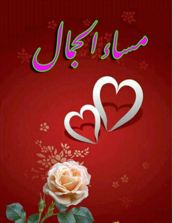 مساء الزين ٢