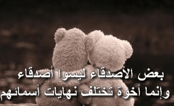 كلمات عن الصداقة والأخوة