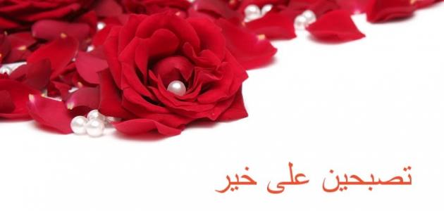 تصبح على حب  - تصبحين على خير يا غالية