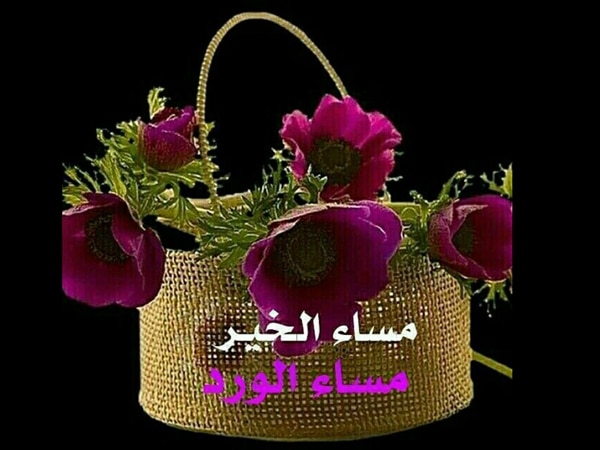 مساء الورد ١