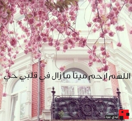 دعاء للام المتوفيه تويتر ١